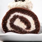 Straight on photo of Chocolate Swiss roll Cake