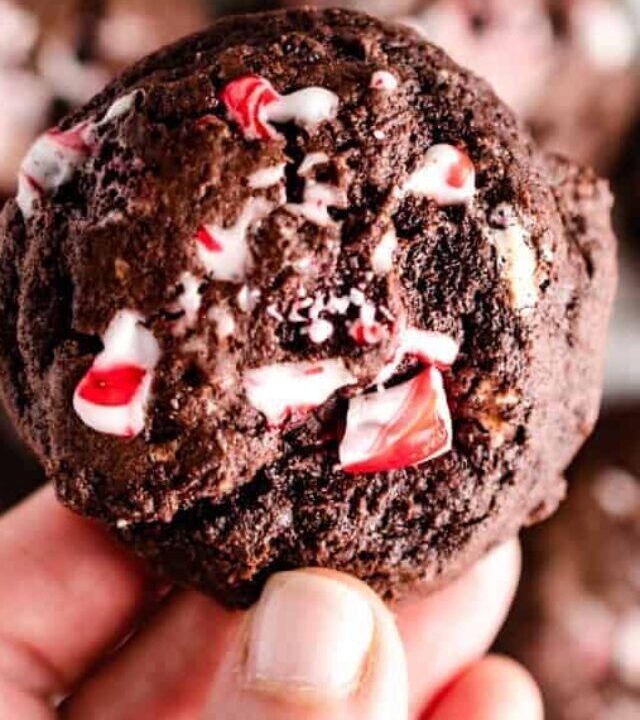 Close-up of hand holding chocolate peppermint cookie