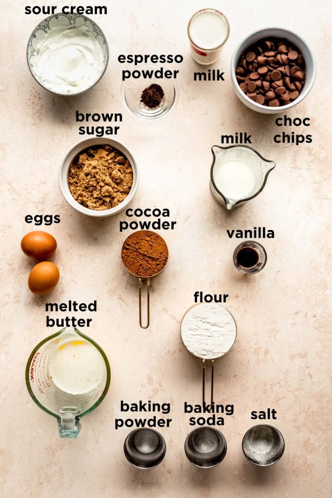 Baked Chocolate Donut Recipe (in 30 minutes!) Kickass Baker