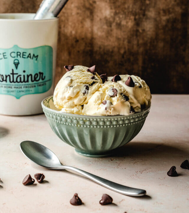 Spoon resting next to a bowl of vanilla malted chocolate chip ice cream.