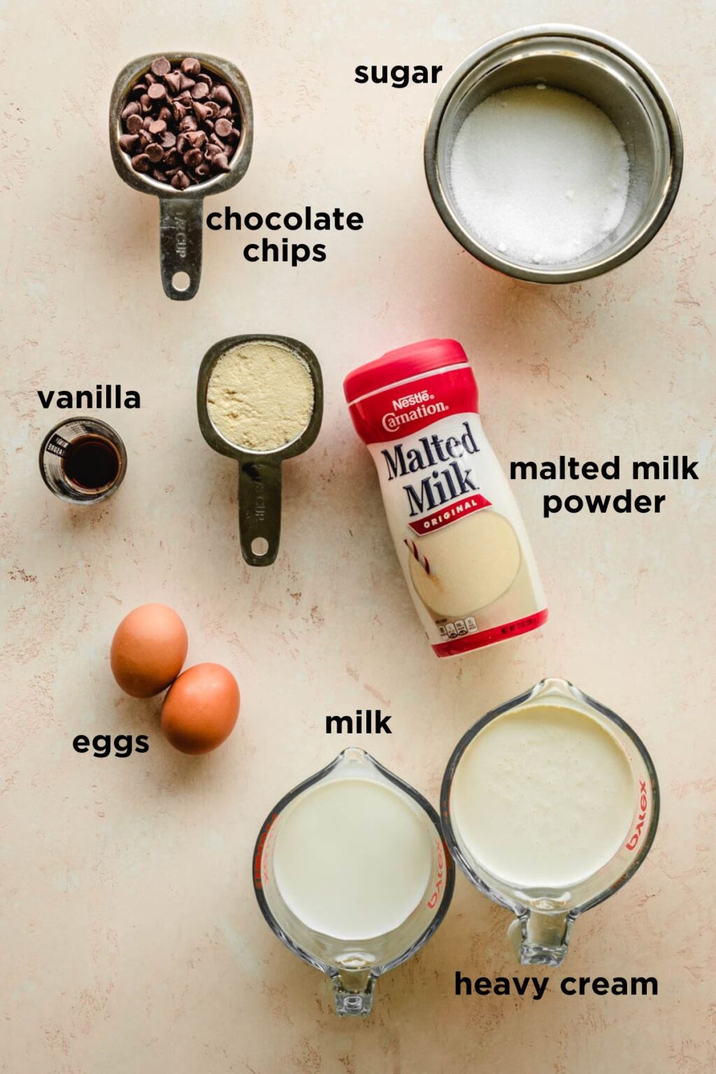 Creamy Malted Vanilla Ice Cream with Chocolate Chips Kickass Baker