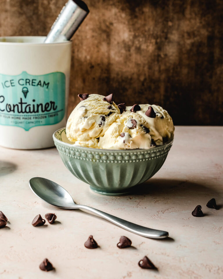 Creamy Malted Vanilla Ice Cream with Chocolate Chips Kickass Baker